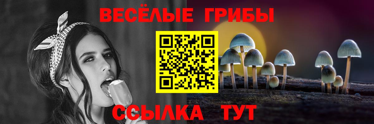 Псилоцибиновые грибы GOLDEN TEACHER Качканар