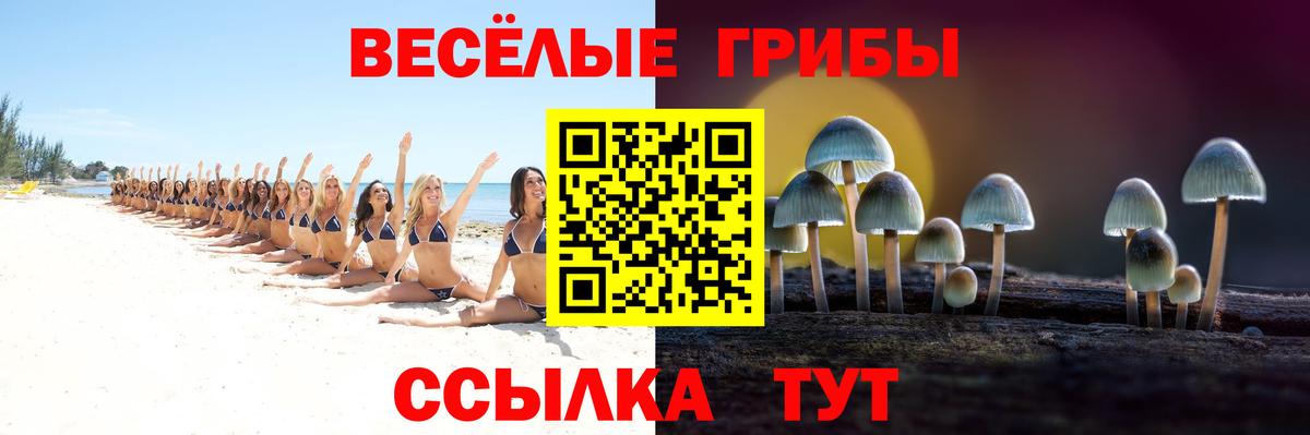 Галлюциногенные грибы Magic Shrooms  Вход с VPN  Качканар 
